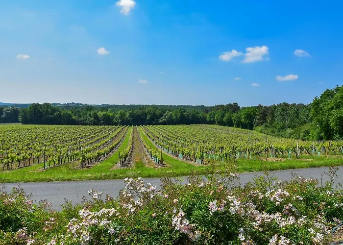 Leysalle * Monbazillac